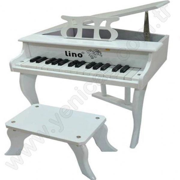 Piano With 30 Keys