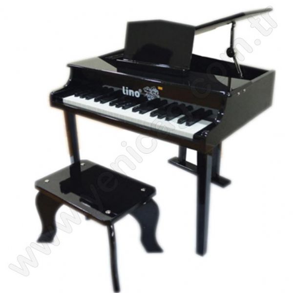 Piano With 37 Keys